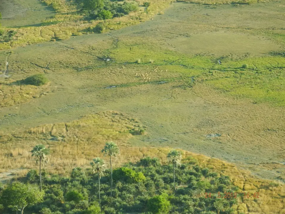 DSCF8082.JPG