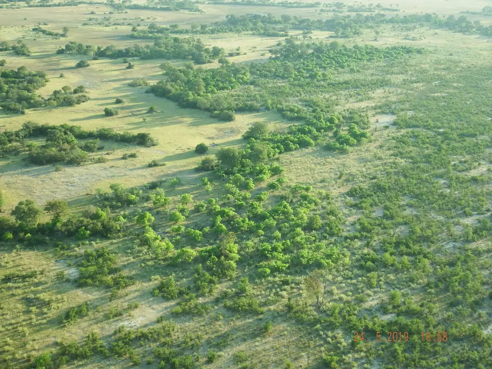 DSCF8115.JPG