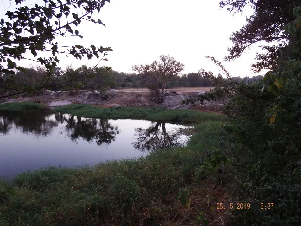 DSCF8139.JPG