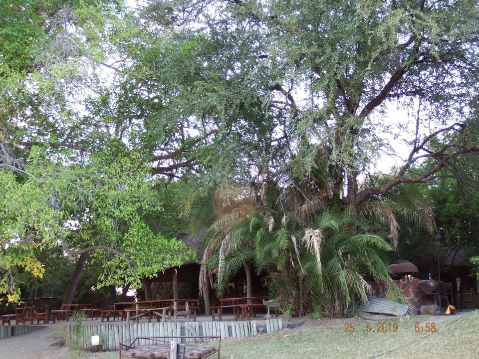 DSCF8160.JPG