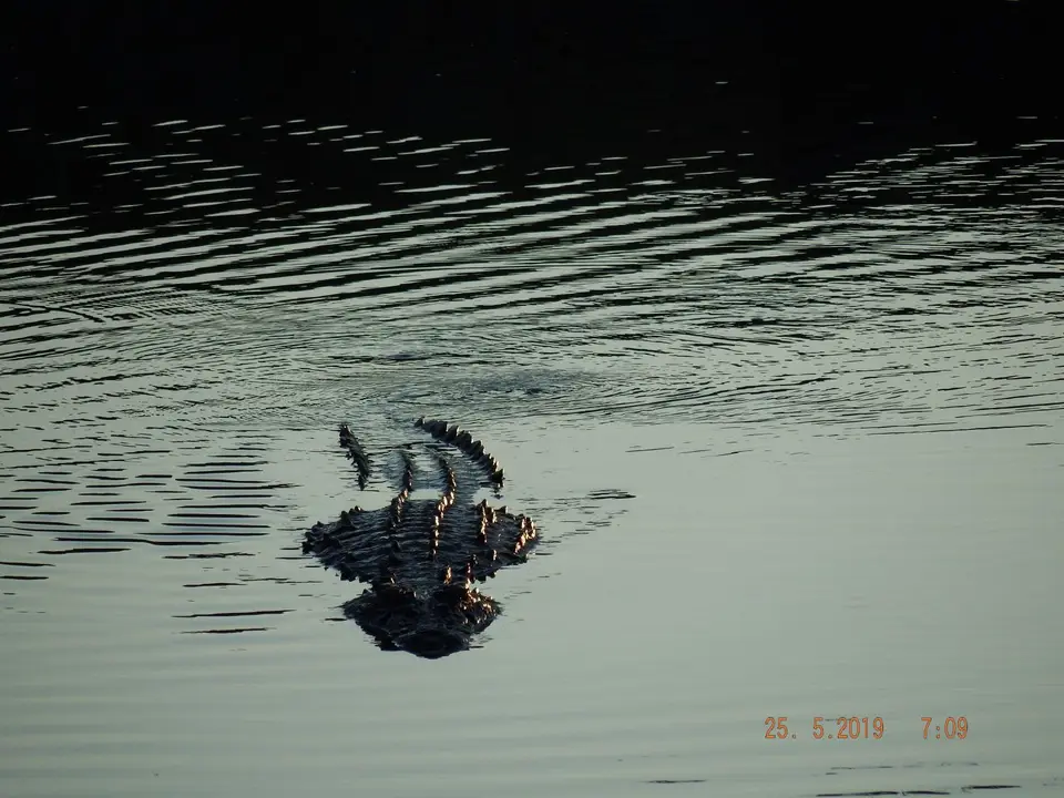DSCF8166.JPG