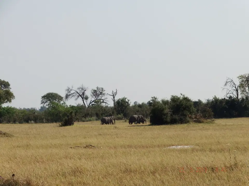 DSCF8174.JPG