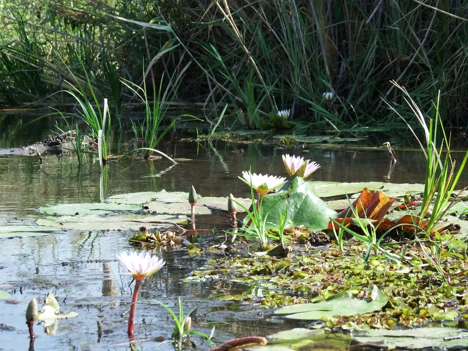 DSCF8194.JPG