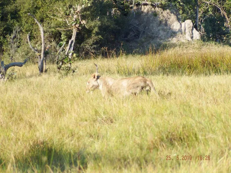 DSCF8240.JPG