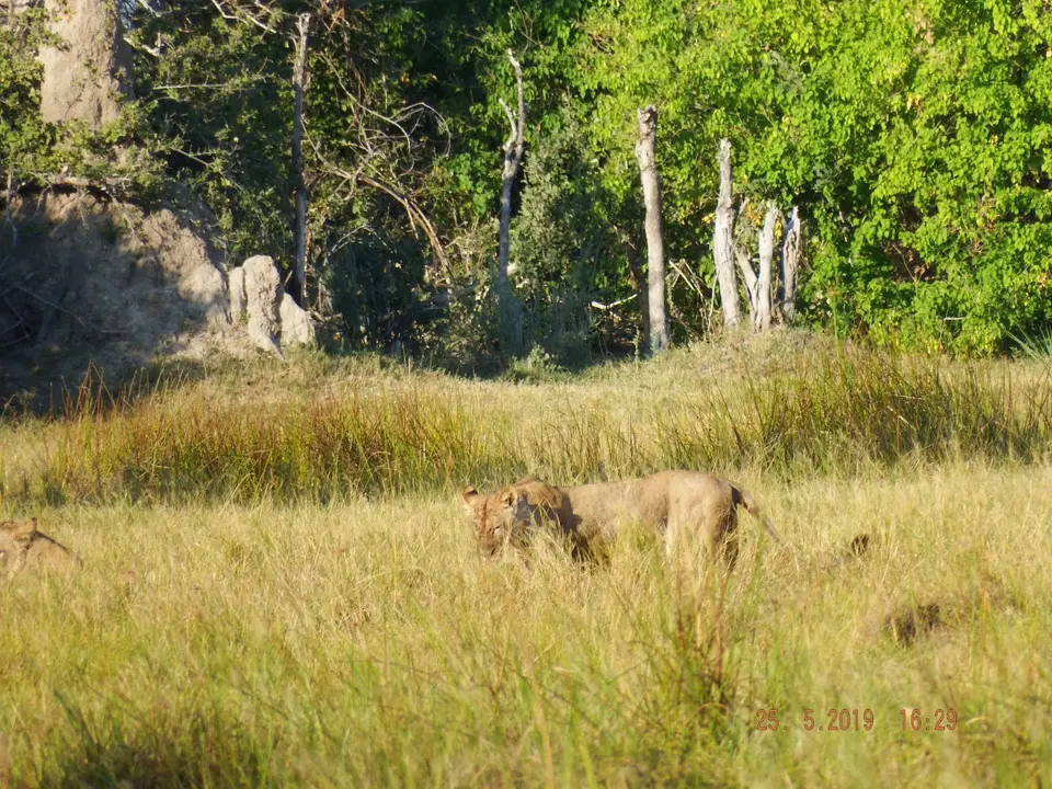 DSCF8245.JPG