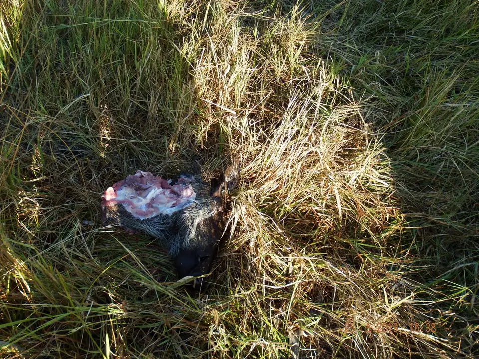 DSCF8253.JPG