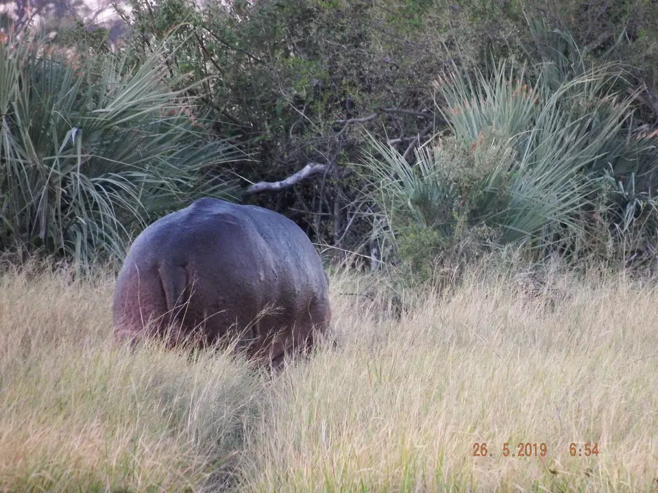 DSCF8279.JPG