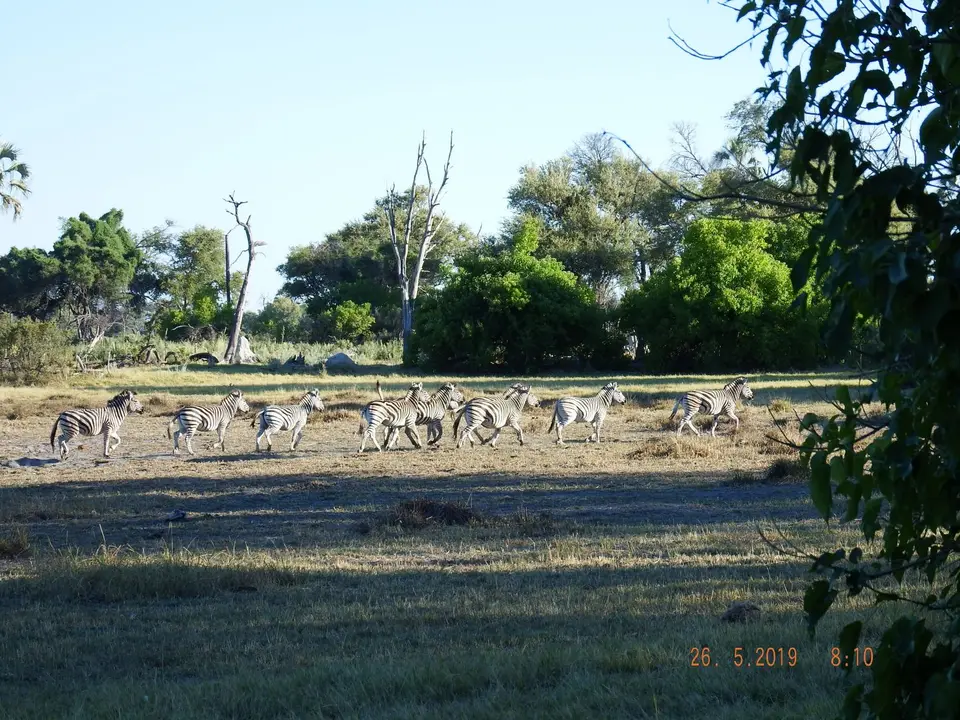 DSCF8312.JPG