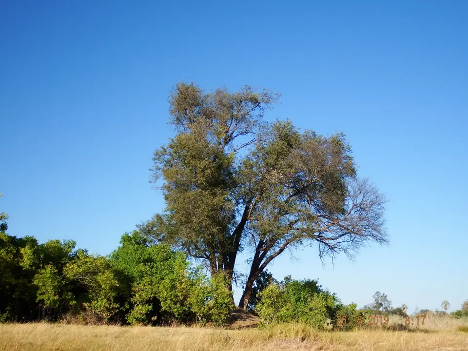 DSCF8314.JPG