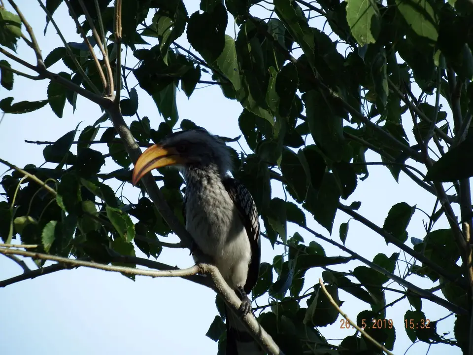 DSCF8356.JPG