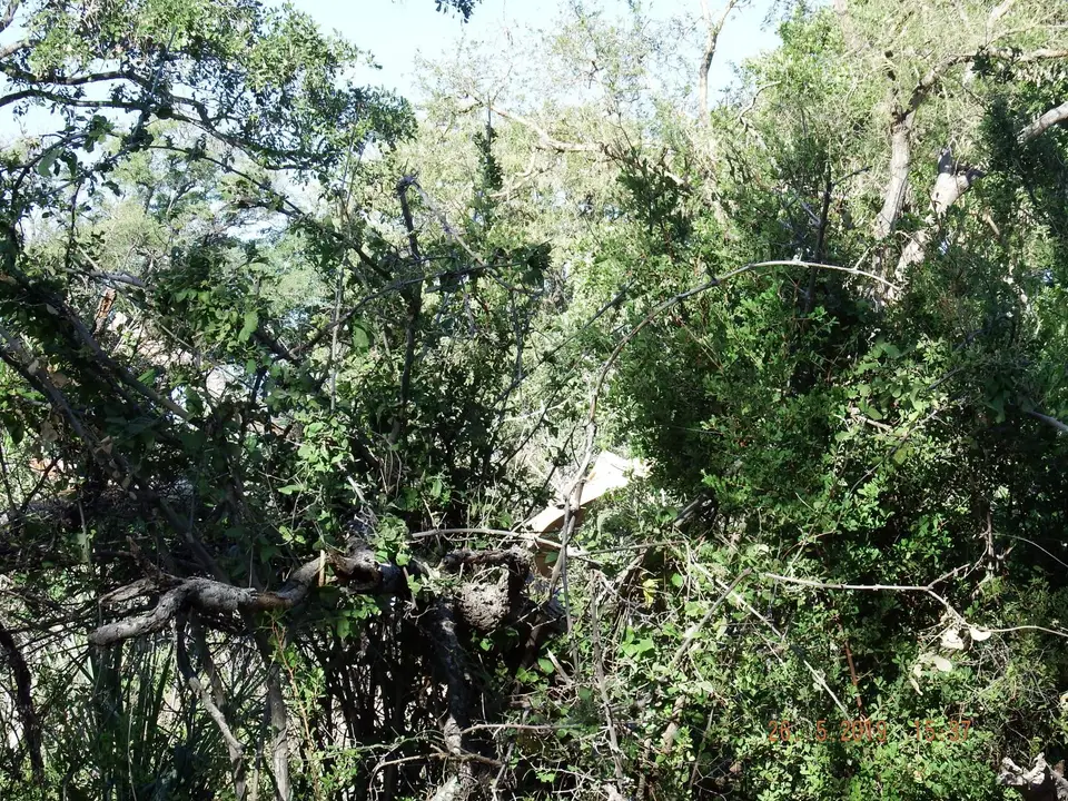DSCF8358.JPG