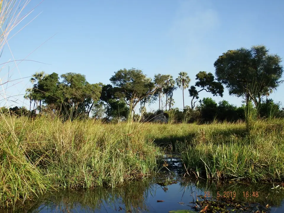 DSCF8368.JPG