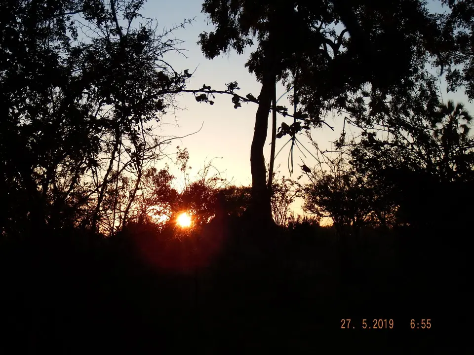 DSCF8451.JPG