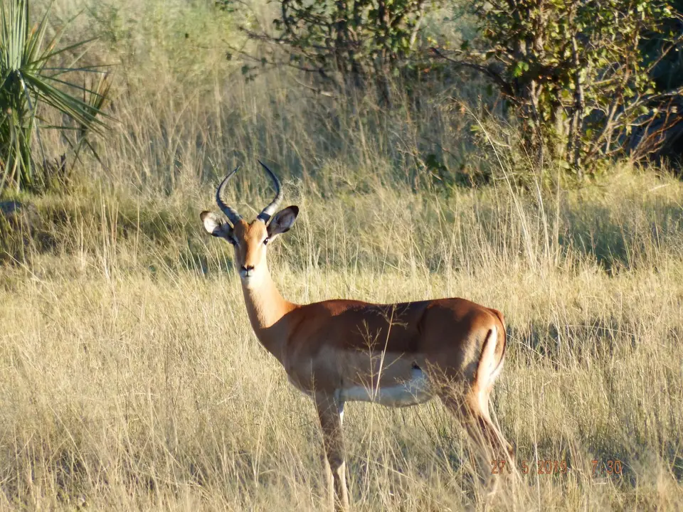 DSCF8455.JPG