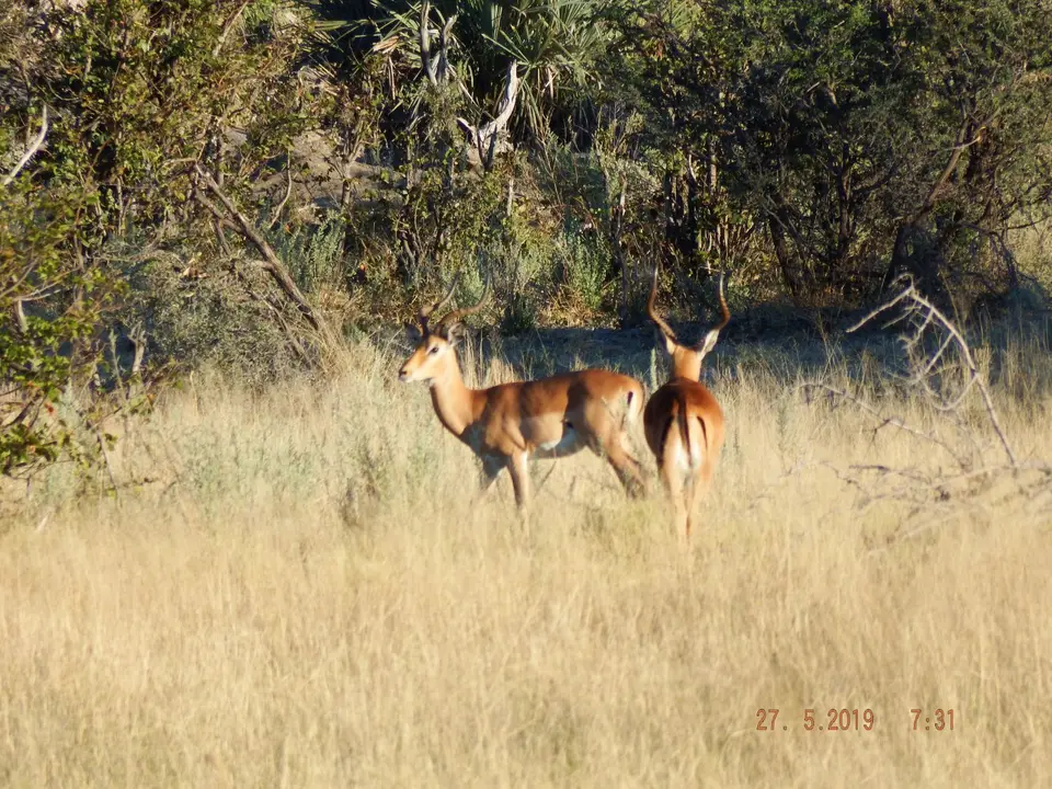 DSCF8458.JPG