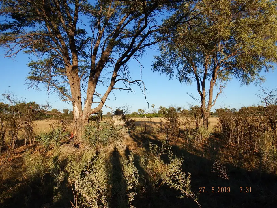 DSCF8459.JPG