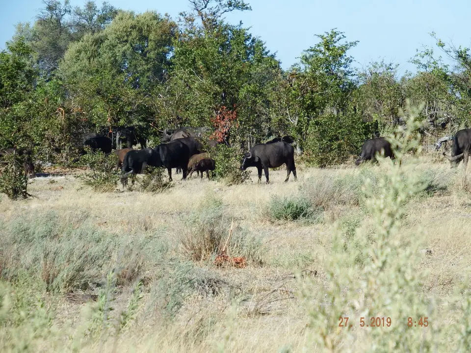 DSCF8475.JPG