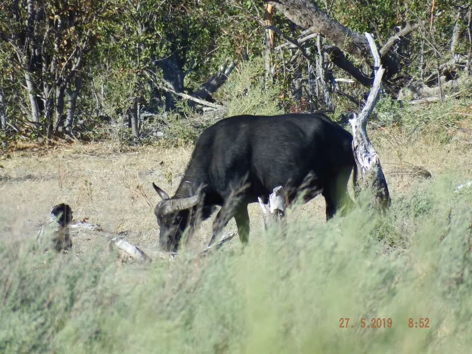 DSCF8495.JPG