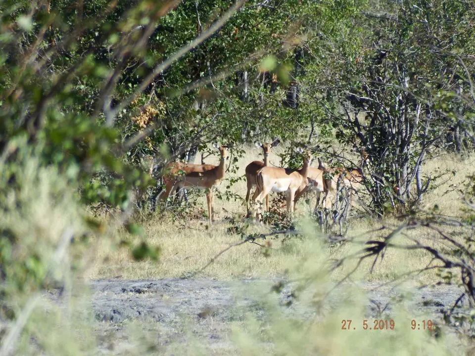 DSCF8500.JPG