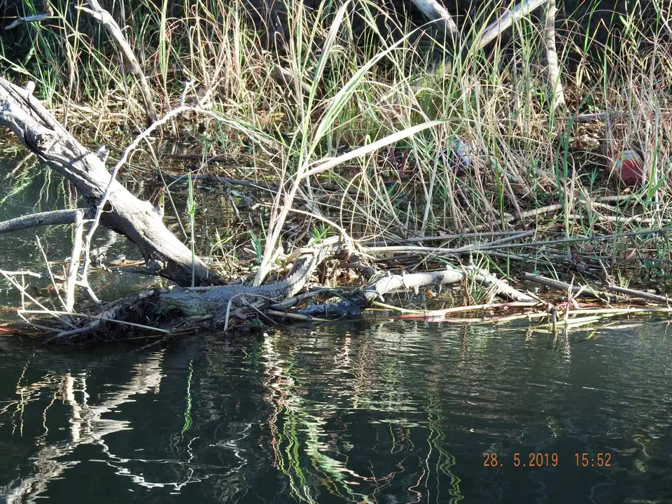 DSCF8518-2.JPG