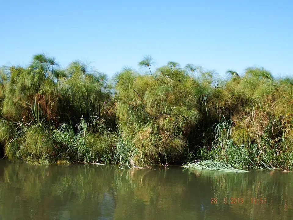 DSCF8522-2.JPG