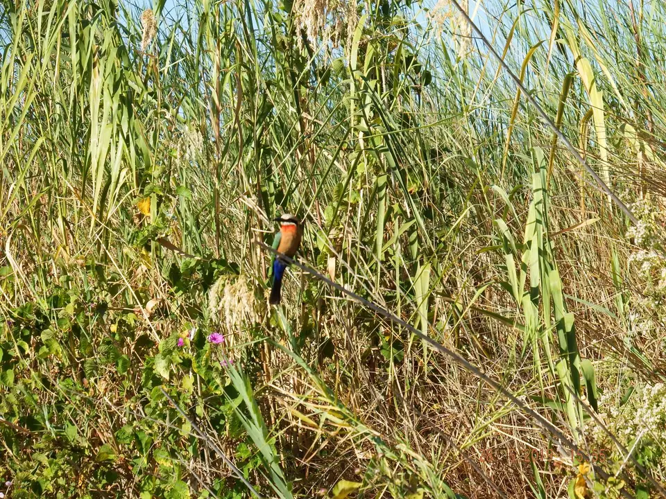 DSCF8523.JPG