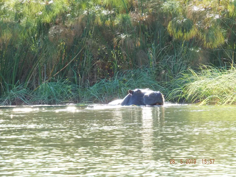 DSCF8525.JPG