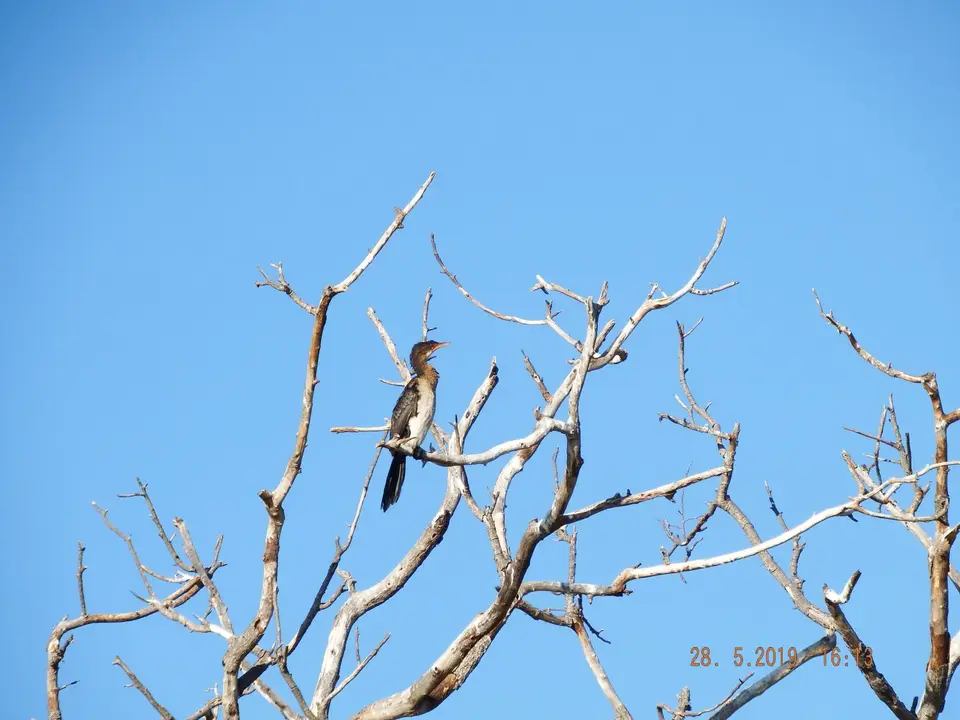DSCF8536.JPG