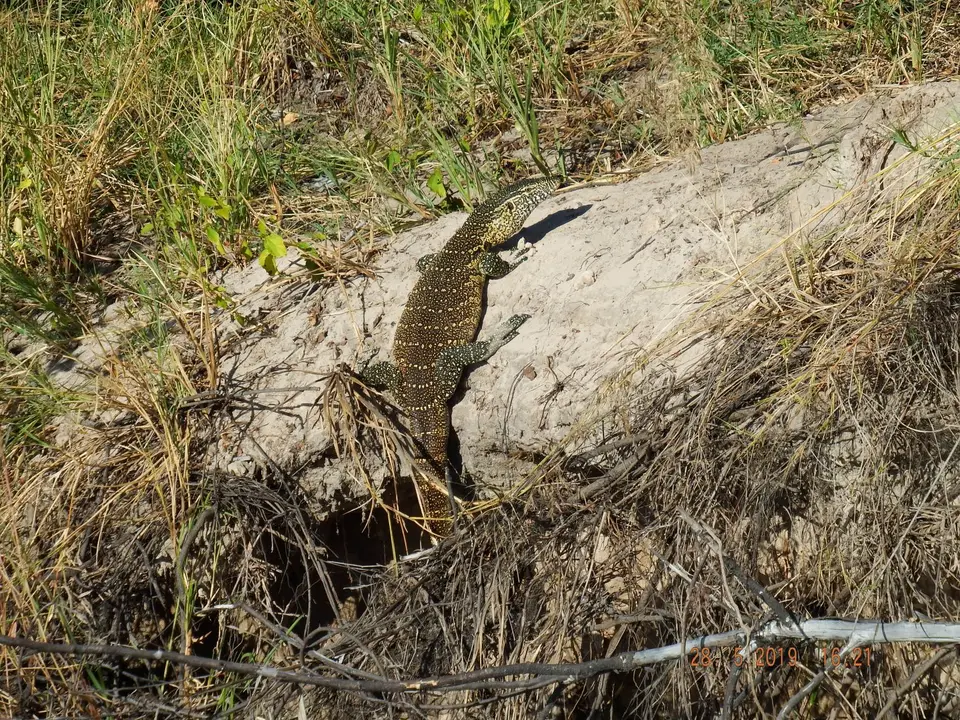 DSCF8538.JPG