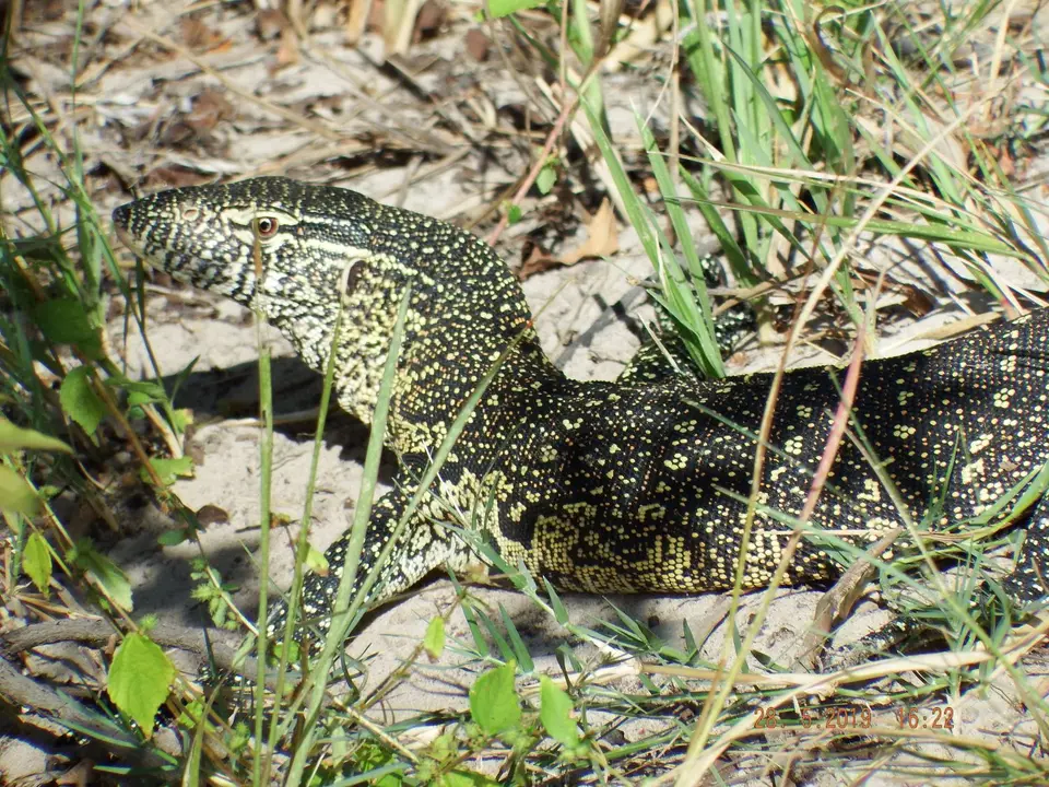 DSCF8543.JPG