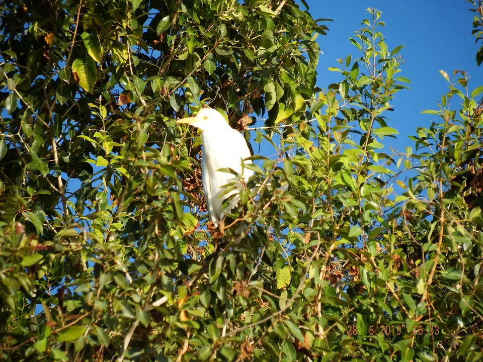 DSCF8556.JPG