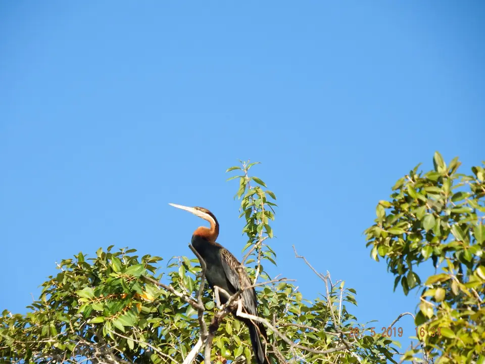 DSCF8561.JPG