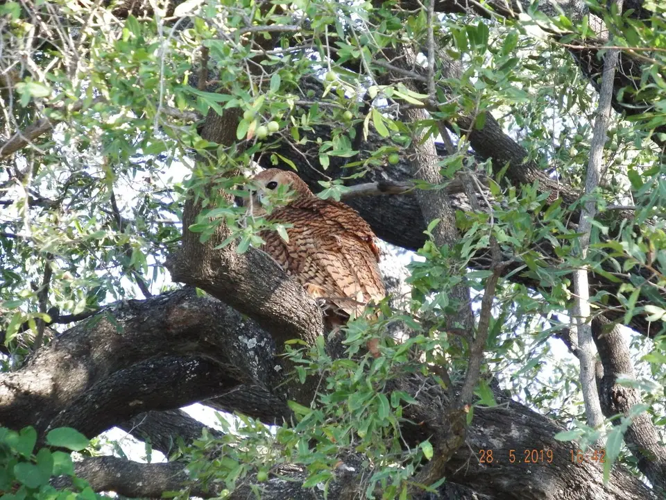 DSCF8564.JPG