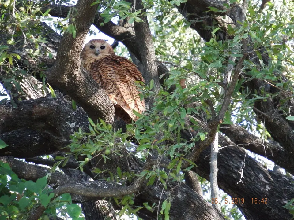 DSCF8565.JPG
