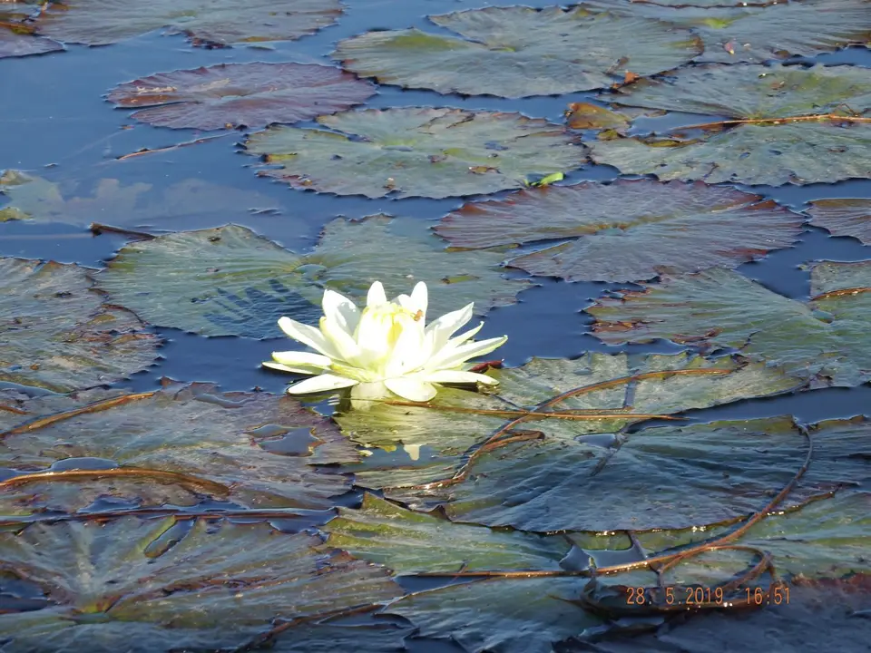 DSCF8577.JPG