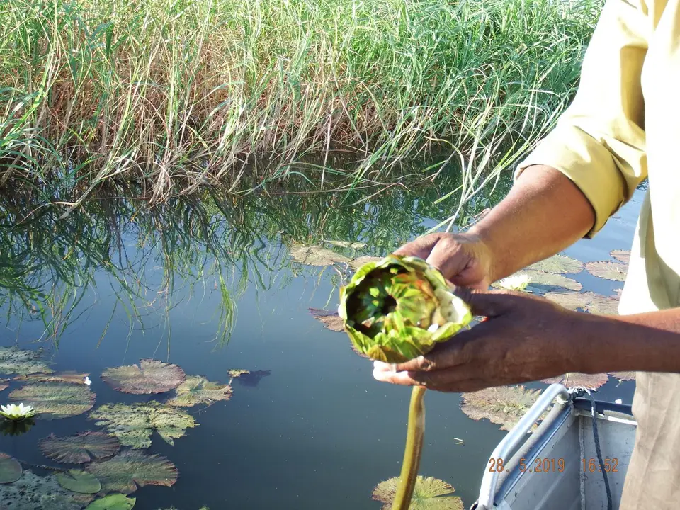 DSCF8578.JPG