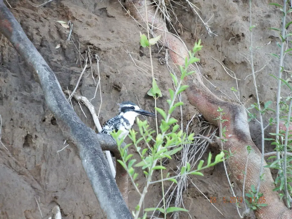 DSCF8584.JPG