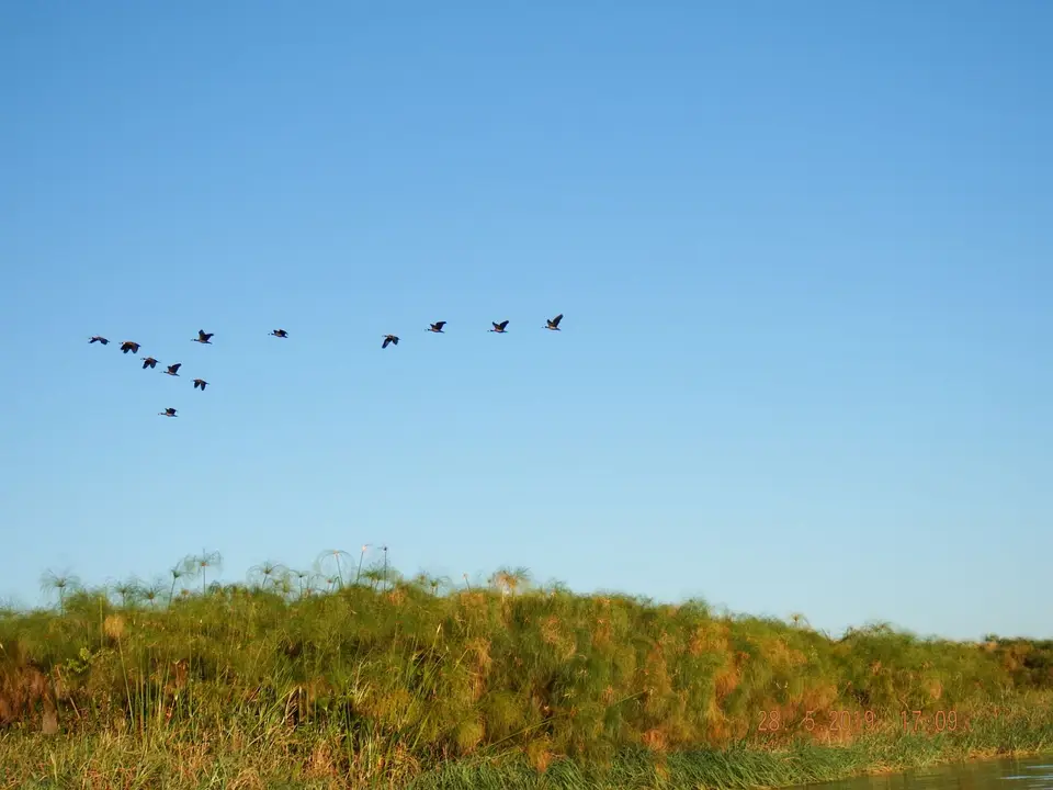DSCF8589.JPG