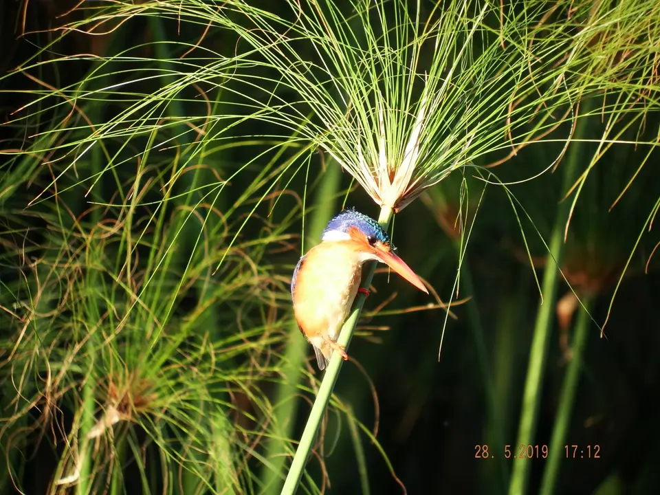 DSCF8594-2.JPG