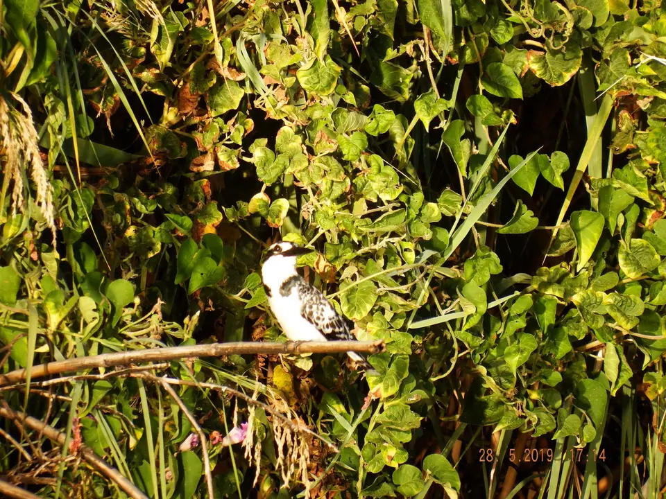 DSCF8595.JPG