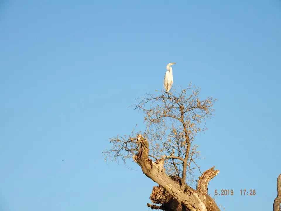 DSCF8601.JPG