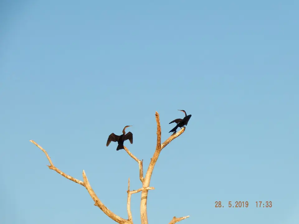 DSCF8609.JPG