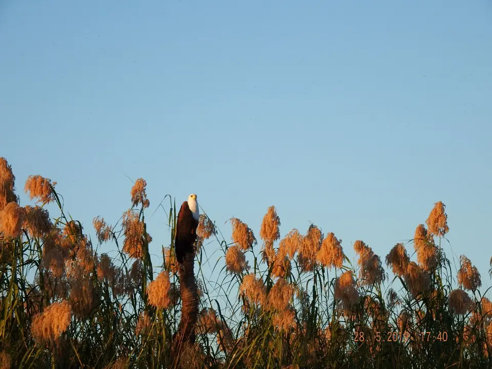 DSCF8616.JPG