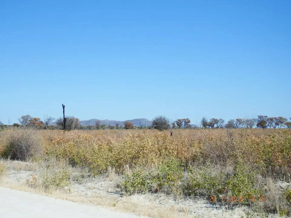 DSCF8626.JPG