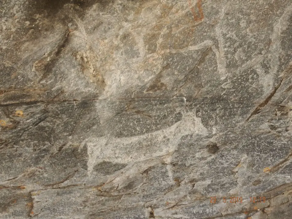 DSCF8648.JPG