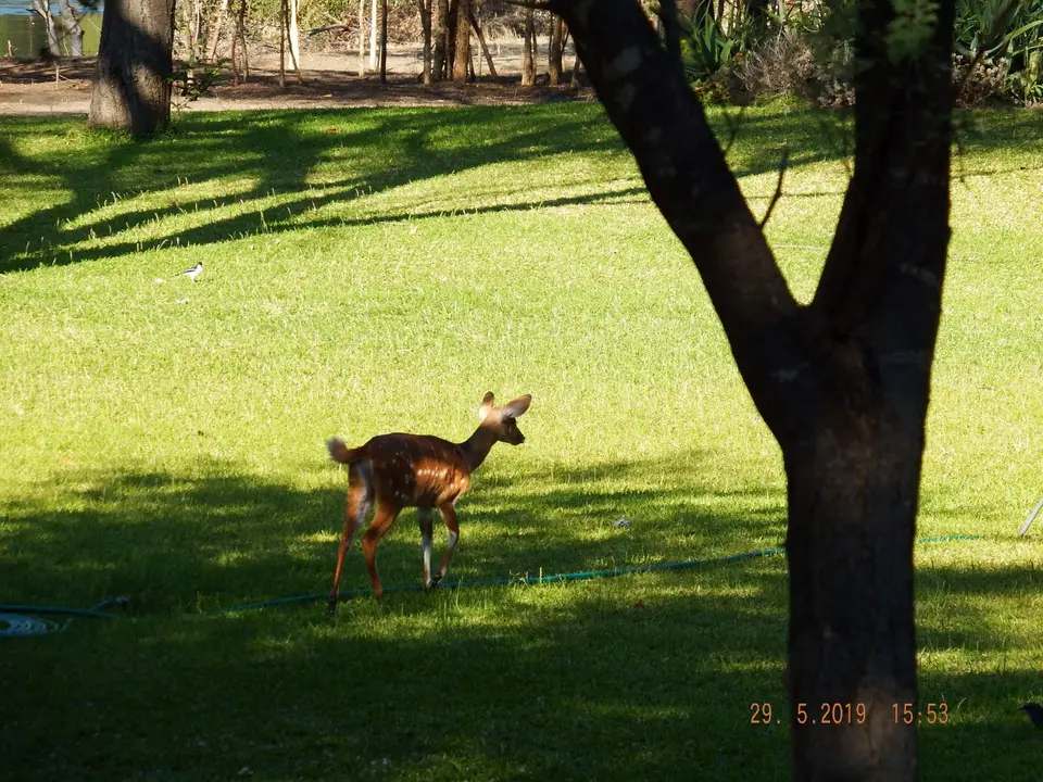 DSCF8662.JPG