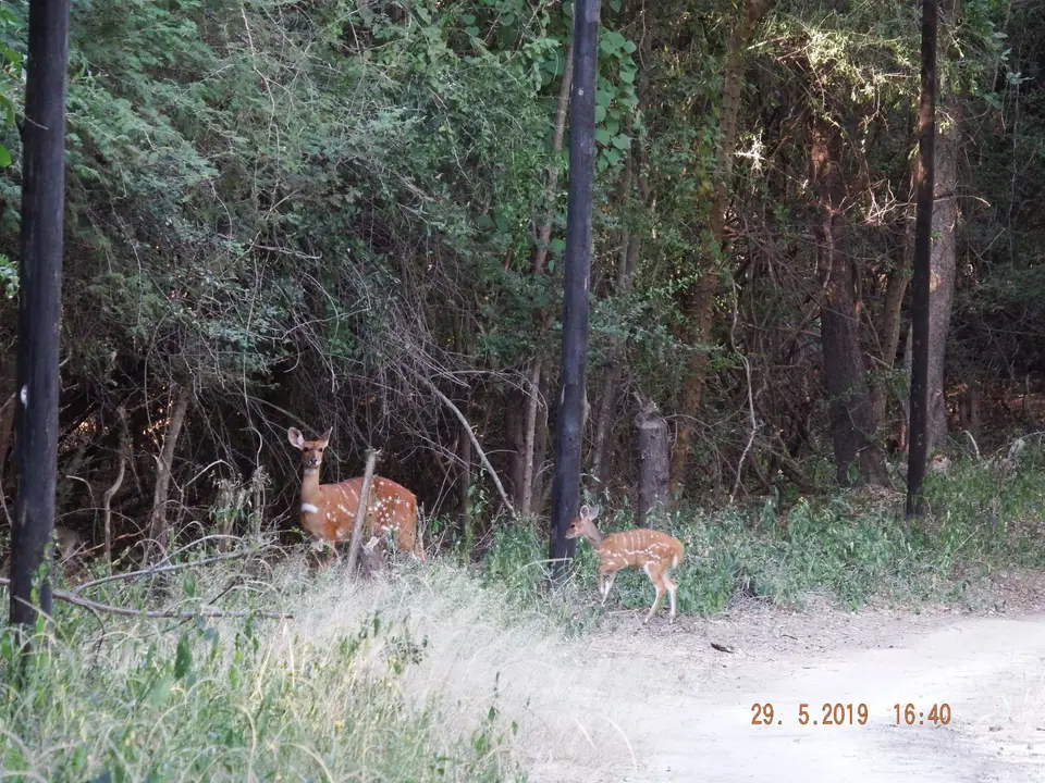 DSCF8678.JPG