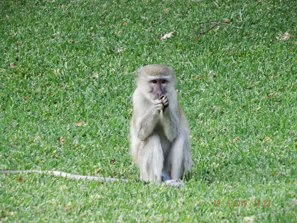 DSCF8724.JPG