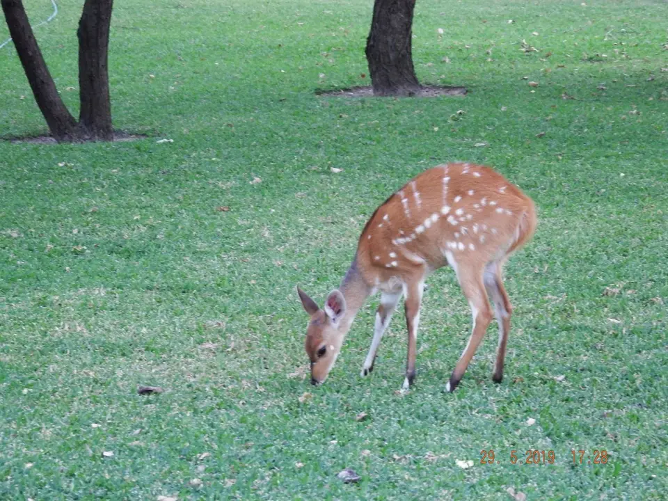 DSCF8734-2.JPG