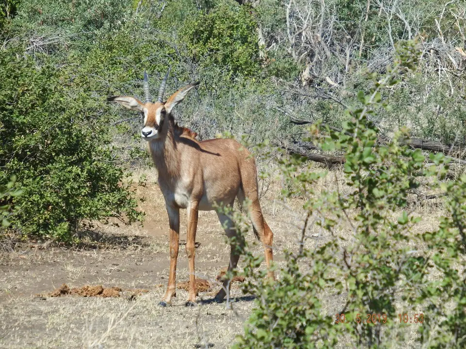 DSCF8753.JPG